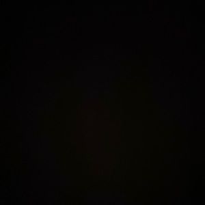 Meet your Posher, Harold